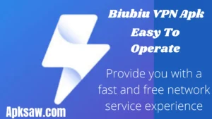 Biubiu VPN Apk